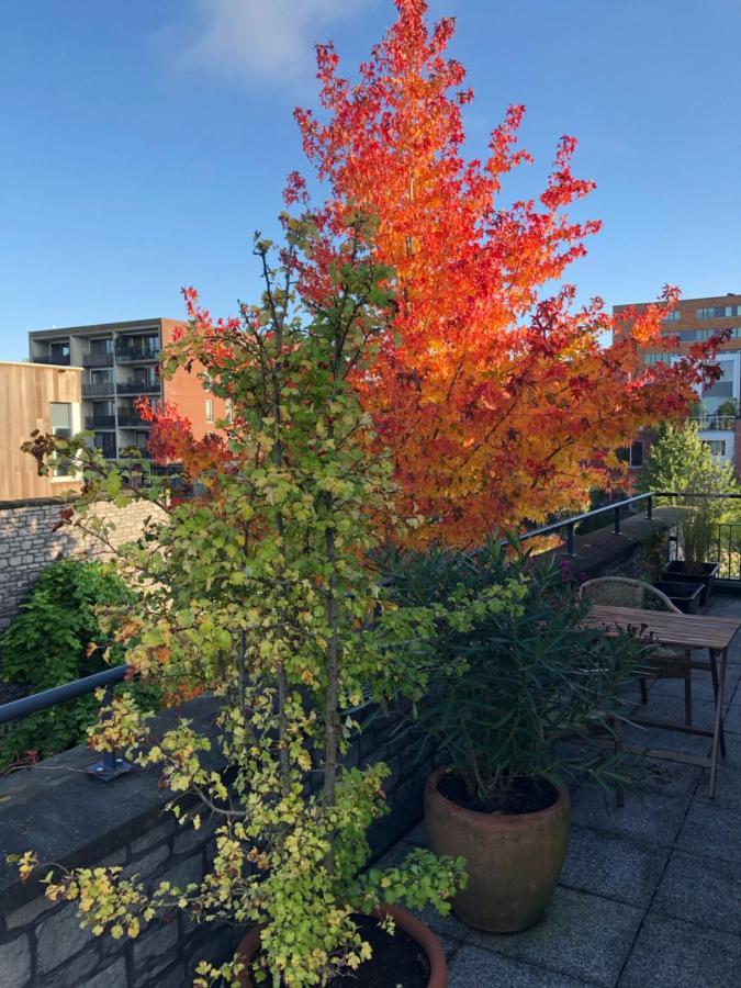 B&B De Zwanebloem Amsterdam Dış mekan fotoğraf